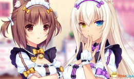 猫娘动漫,萌动时光，探寻虚拟与现实的奇幻之旅